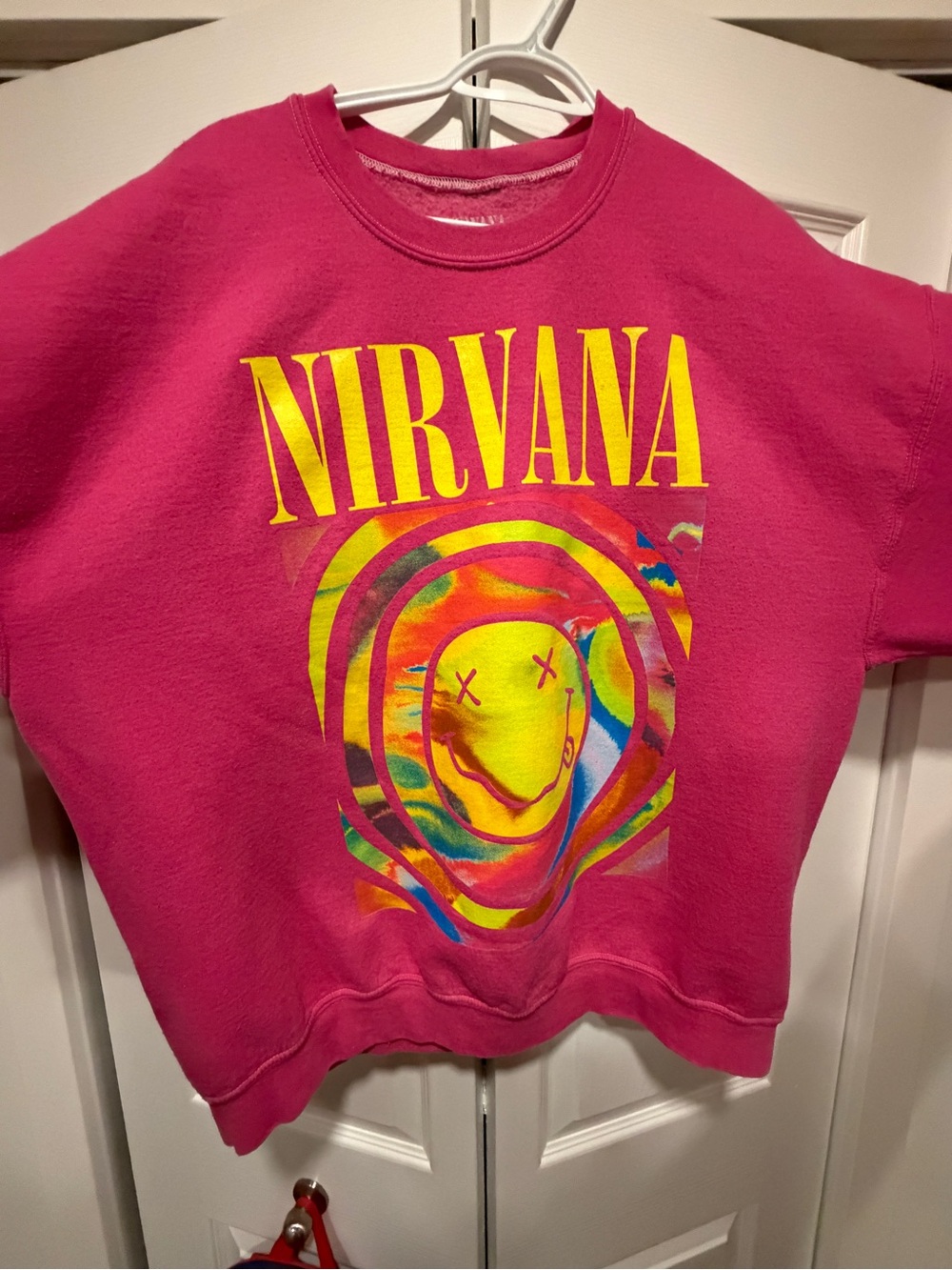 Urban Outfitters NIRVANA Hot Pink Crewneck